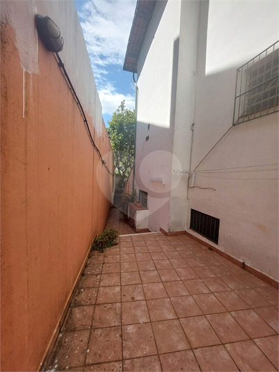 Foto REO958553