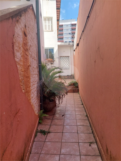 Foto REO958553