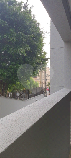 Foto REO958718