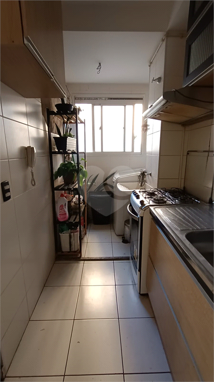 Venda Apartamento São Paulo Jardim Belém REO958788 3