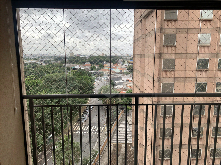Foto REO959514