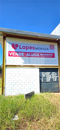 Foto REO959819