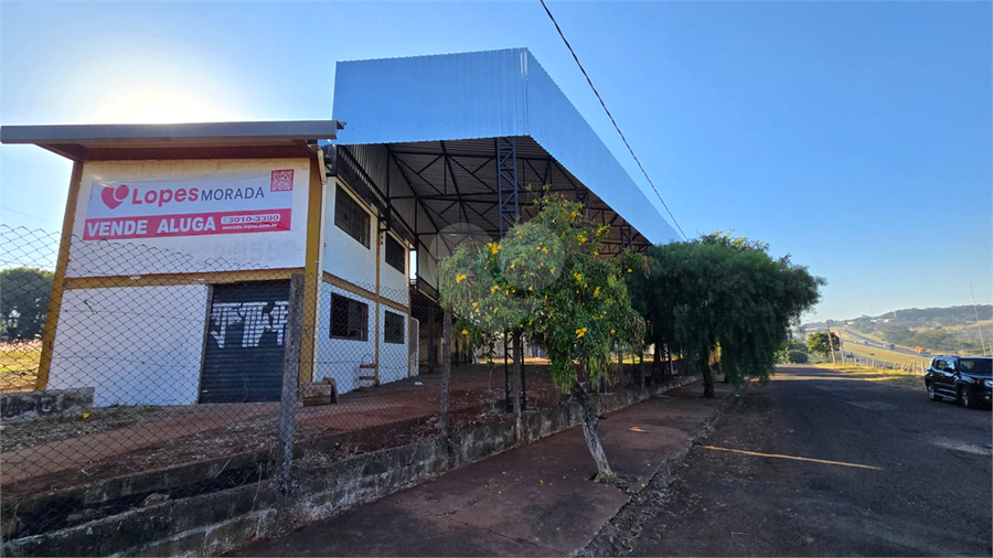 Foto REO959819