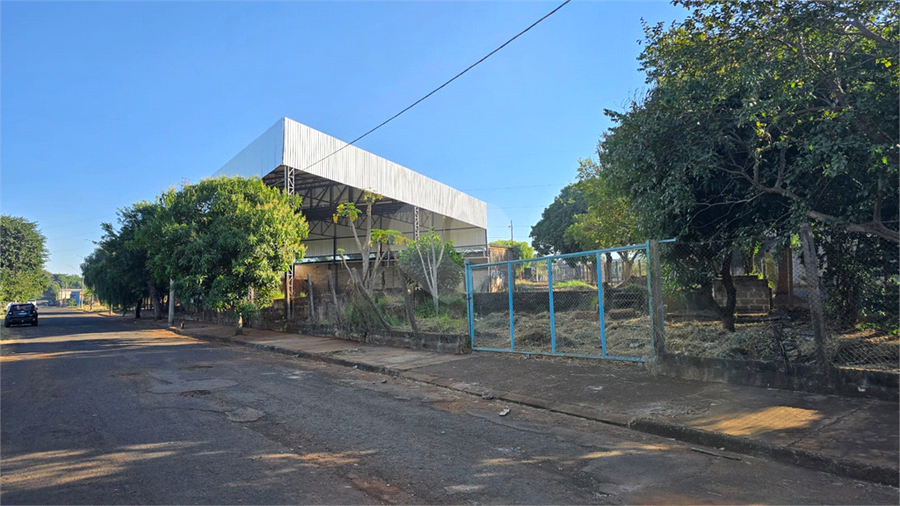 Foto REO959819