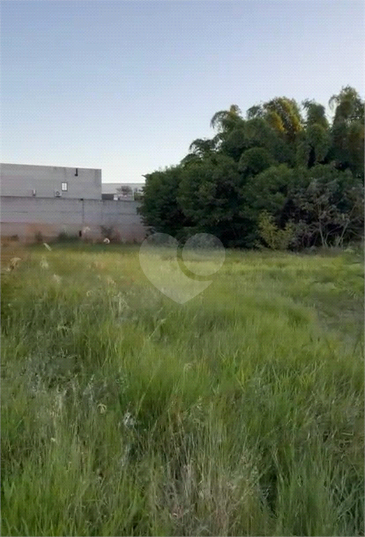 Foto REO959853