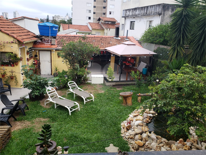 Foto REO960360