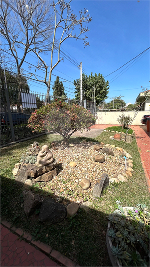 Foto REO960360