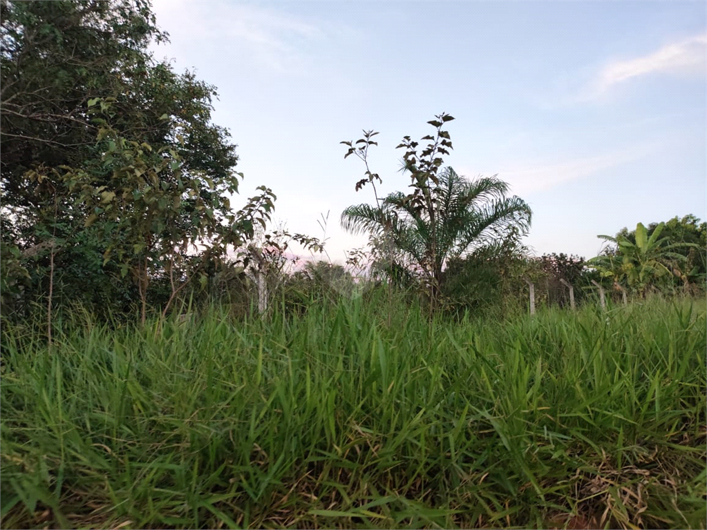 Venda Terreno Piratininga Vila Santa Maria REO960564 16