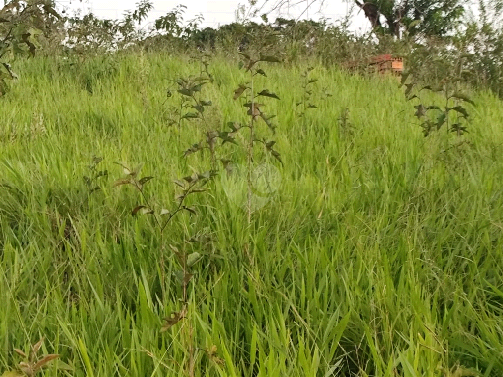 Venda Terreno Piratininga Vila Santa Maria REO960564 22