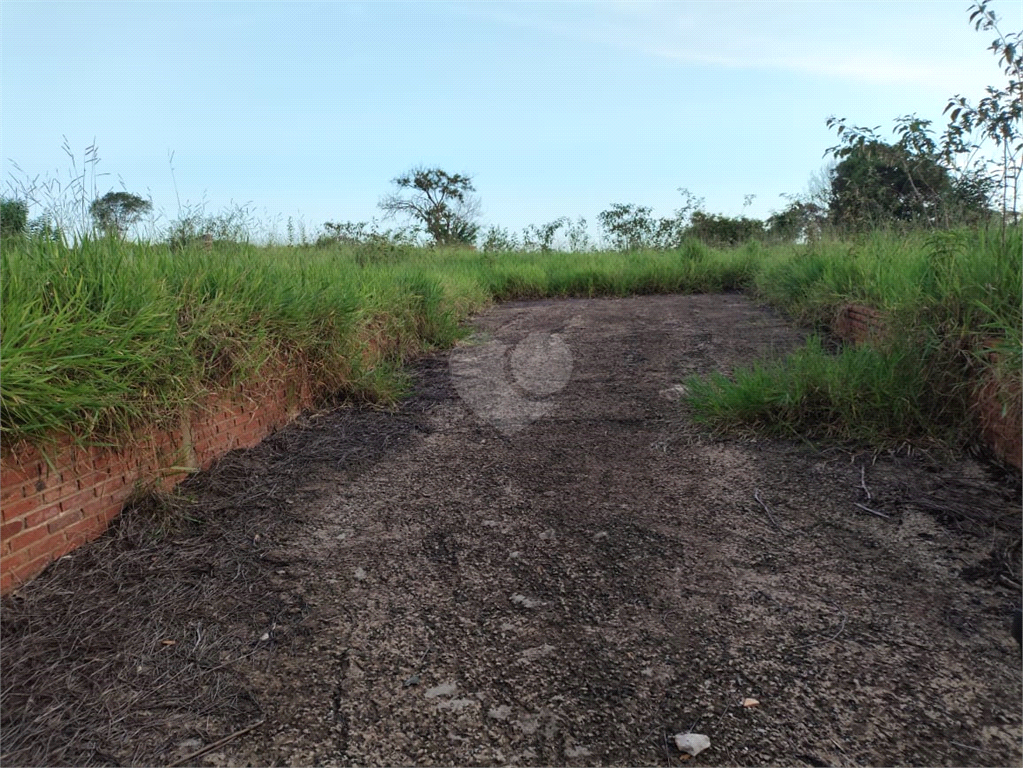 Venda Terreno Piratininga Vila Santa Maria REO960564 11