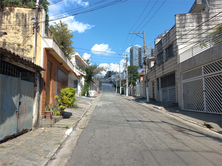 Foto REO960749