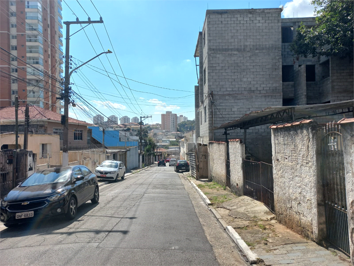 Foto REO960749