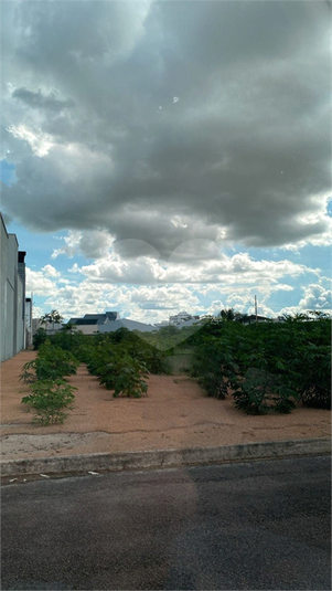Foto REO960896