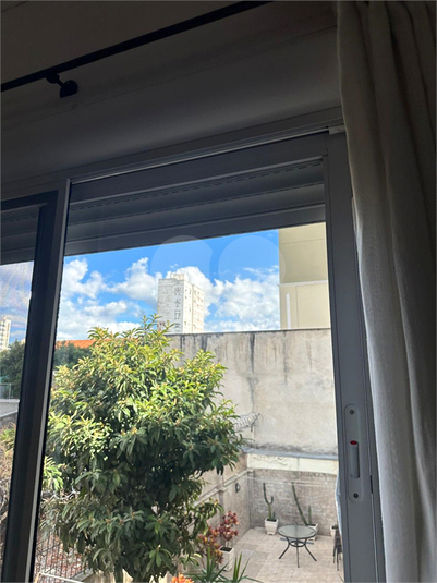 Foto REO961375
