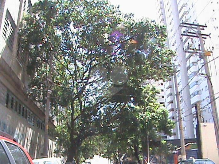 Foto REO96165