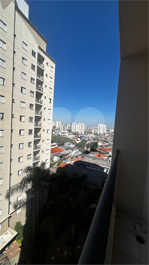 Foto REO961655