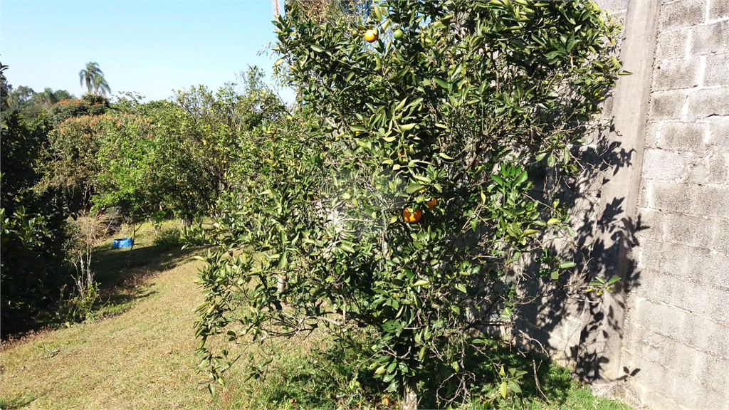 Venda Chácara Mairiporã Rio Abaixo REO961684 27