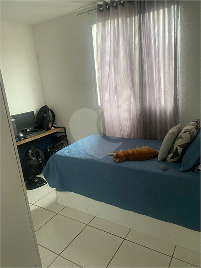 Venda Apartamento Rio De Janeiro Campo Grande REO961733 15