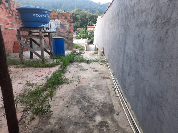 Foto REO962140