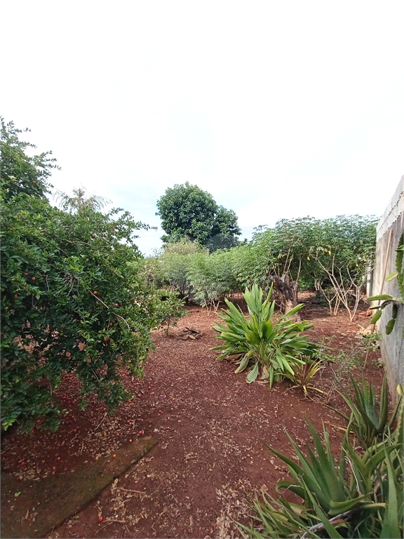 Venda Chácara Araçoiaba Da Serra Jundiaquara REO962151 22