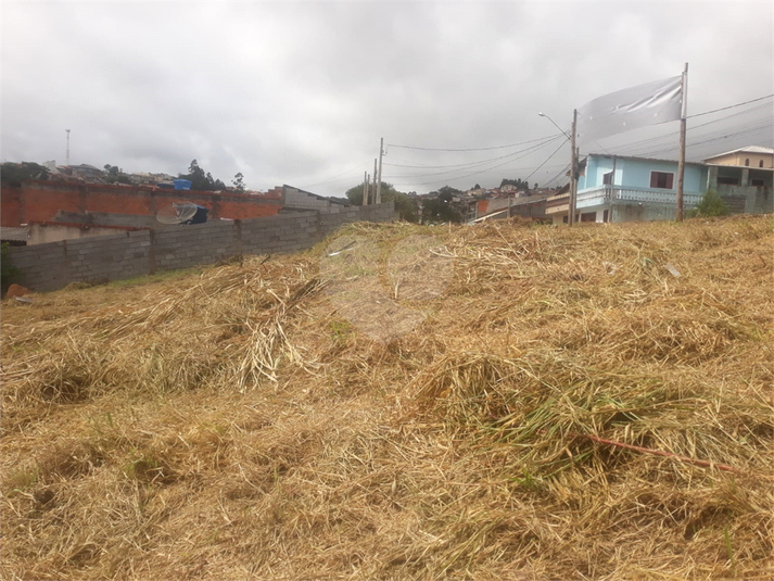 Venda Terreno Mairinque Jardim Dos Ipês REO962189 22