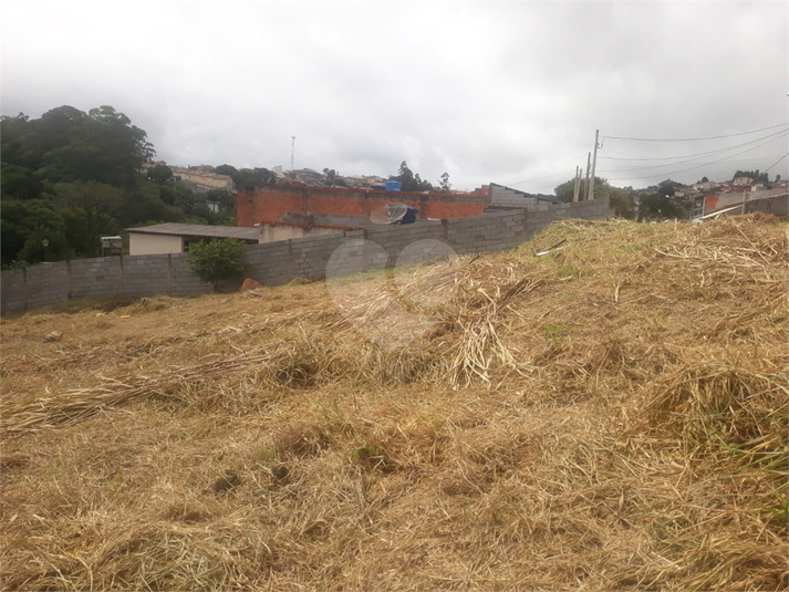 Venda Terreno Mairinque Jardim Dos Ipês REO962189 21