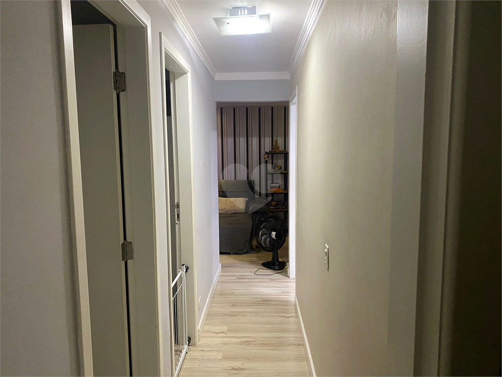 Venda Apartamento São Paulo Vila Albertina REO962237 13