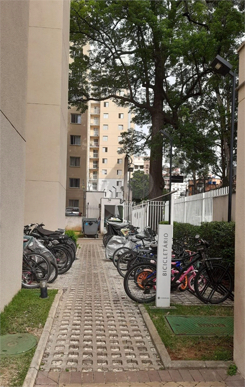 Aluguel Apartamento São Paulo Jardim São Savério REO962555 17