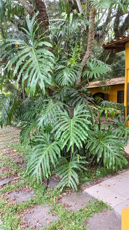 Venda Chácara Cotia Jardim Caiapiá REO962577 13