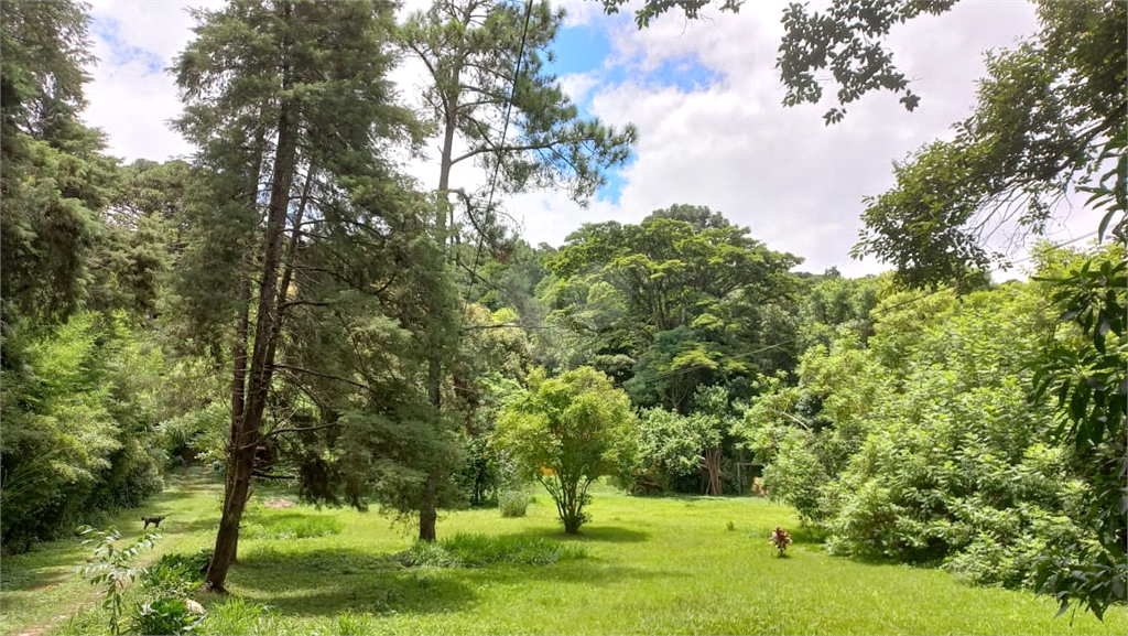 Venda Chácara Cotia Jardim Caiapiá REO962577 7