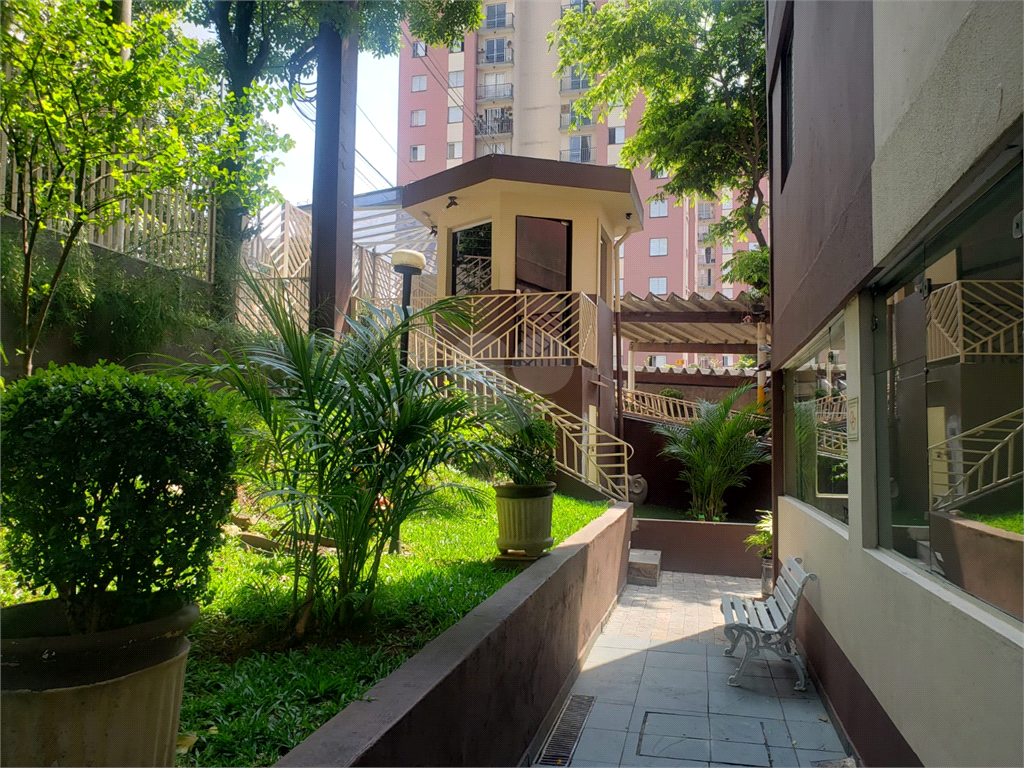 Venda Apartamento São Paulo Jardim Celeste REO962761 27