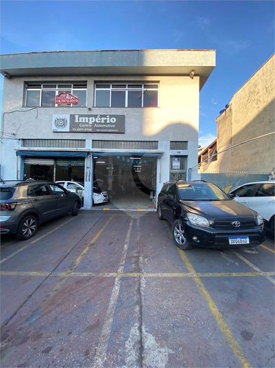 Foto REO962773