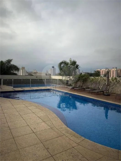 Foto REO962787