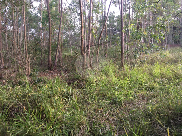 Venda Chácara Mairiporã Terra Preta (terra Preta) REO962790 63