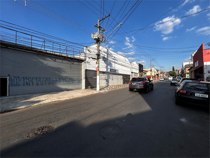 Foto REO963144