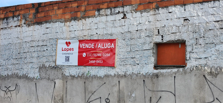 Foto REO963161