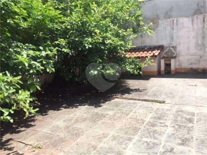 Foto REO963323