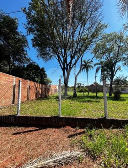 Foto REO963625