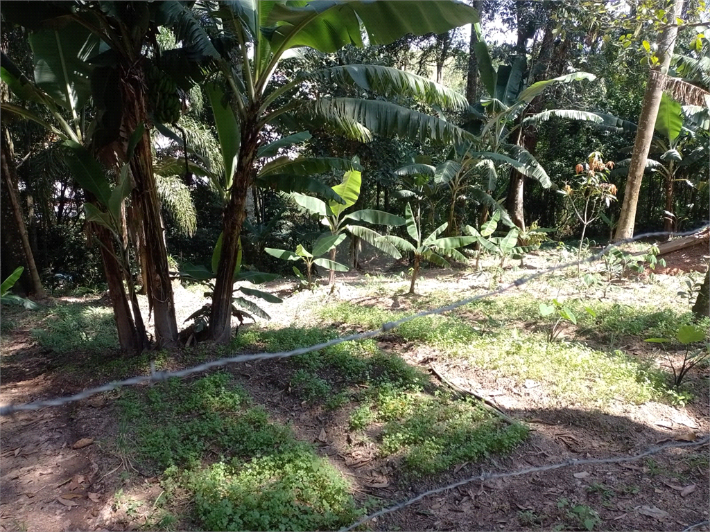 Venda Chácara Itaquaquecetuba Parque Piratininga REO963912 22