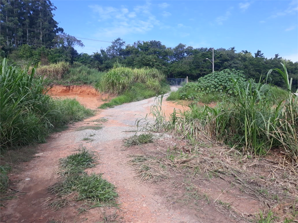 Venda Terreno São Roque Jardim Conceição REO964084 16