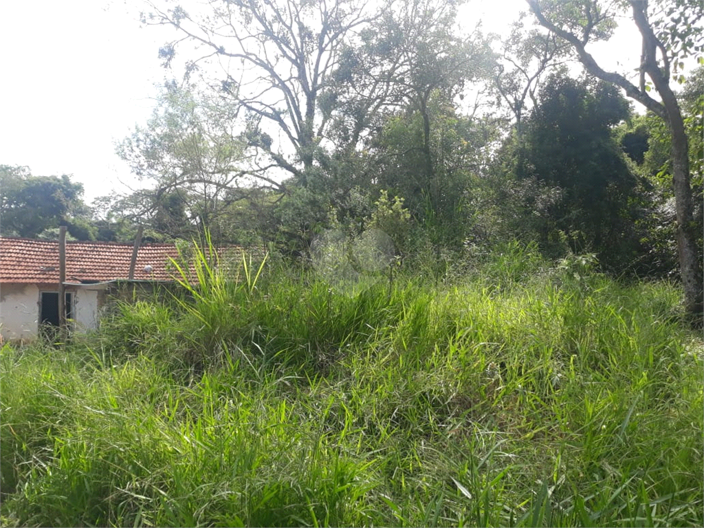 Venda Terreno São Roque Jardim Conceição REO964084 11