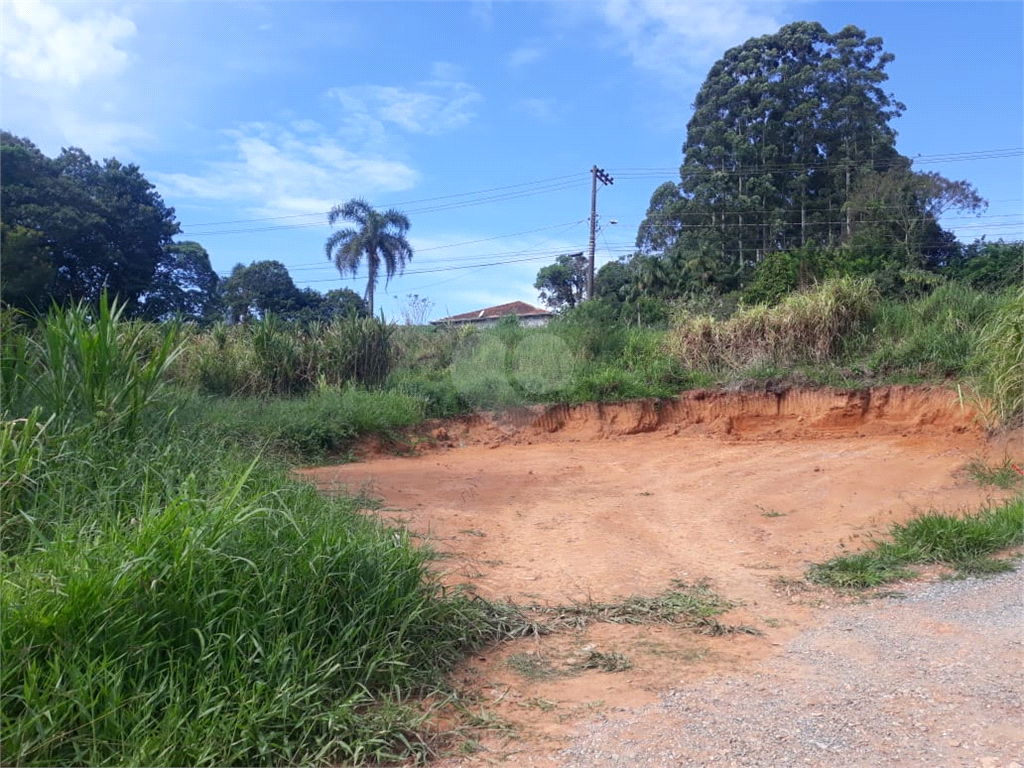 Venda Terreno São Roque Jardim Conceição REO964084 20