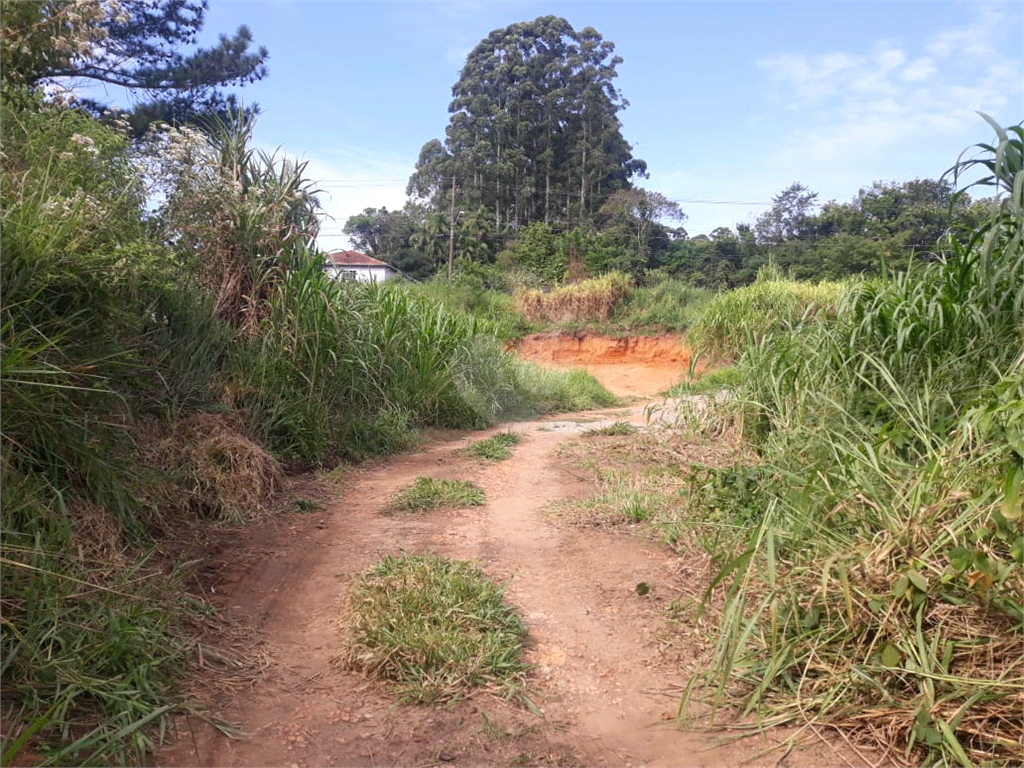 Venda Terreno São Roque Jardim Conceição REO964084 22