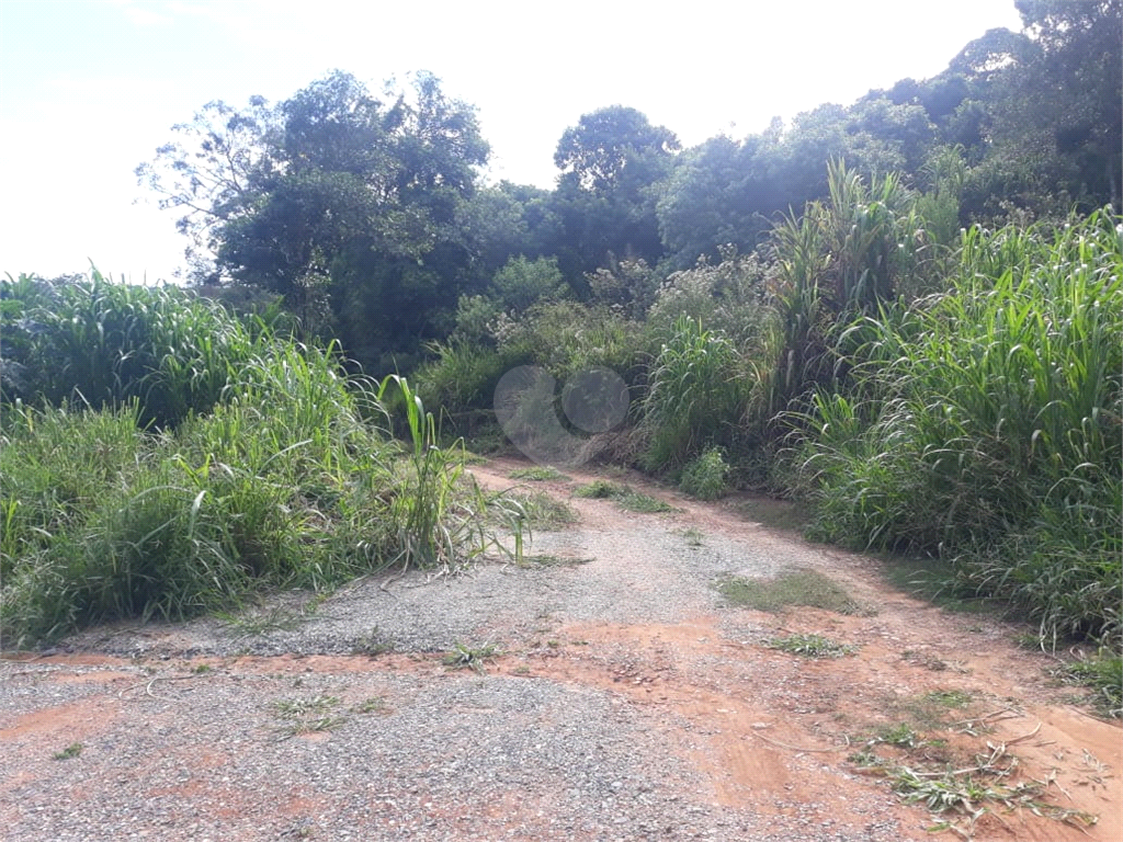 Venda Terreno São Roque Jardim Conceição REO964084 19