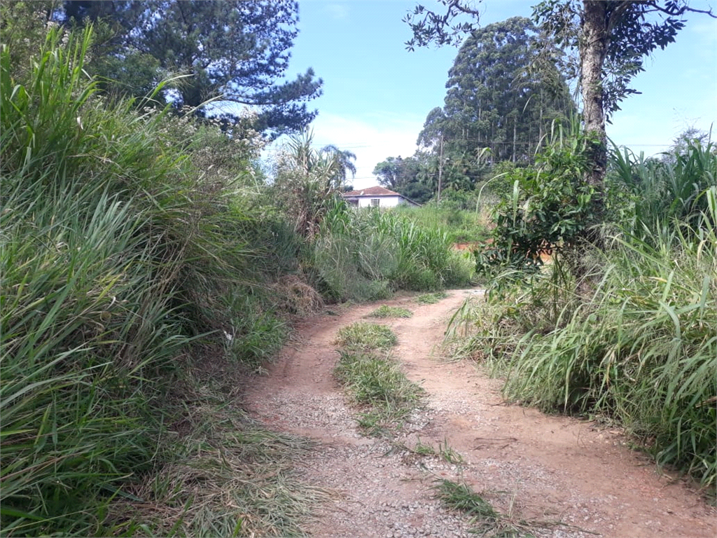 Venda Terreno São Roque Jardim Conceição REO964084 17