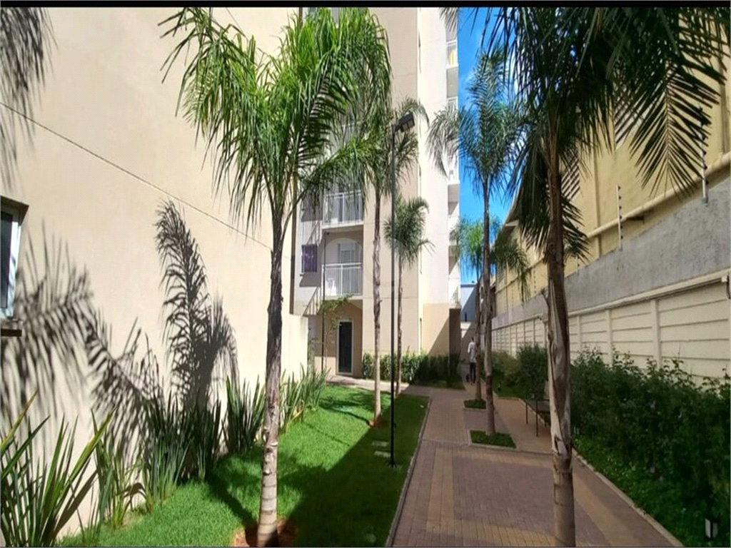 Venda Apartamento São Paulo Vila Guilherme REO964130 41