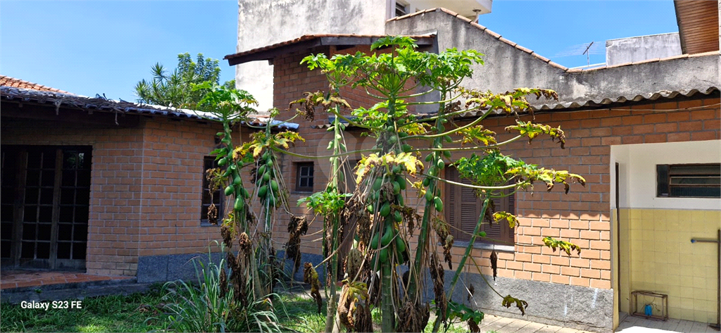 Venda Terreno São Paulo Jardim Consórcio REO964189 10