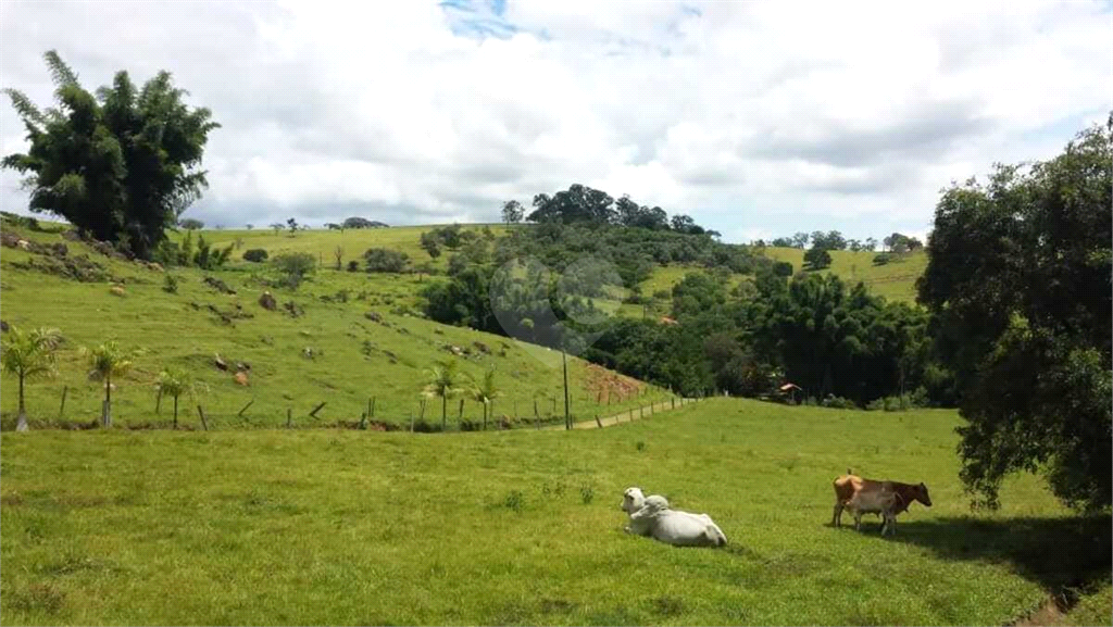 Venda Sítio Itatiba Bairro Dos Pintos REO964258 6