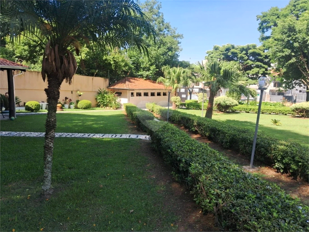 Venda Apartamento Curitiba Portão REO964331 6