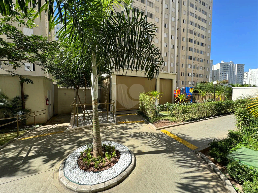 Venda Apartamento São Paulo Jardim Íris REO964378 35